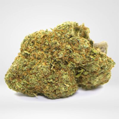 FORESTA X2 FLOWERS RAINBOW BELTZ 2GR