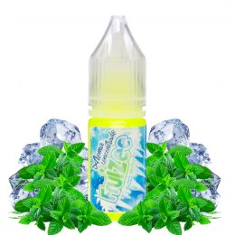 Aroma Icee Mint 10ml - Fruizee