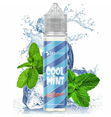 Longfill Wpuff Flavors - Cool Mint 10ml by Liquideo