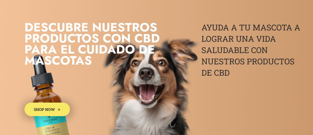 Inicio 6 banner cbd mascotas