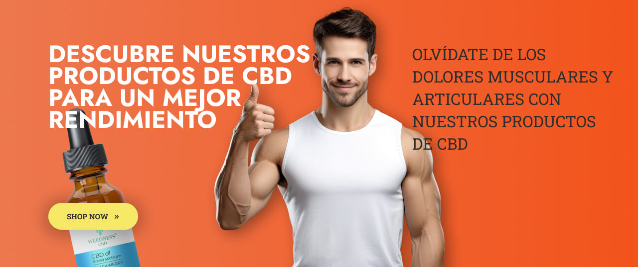 Inicio 4 banner deporte