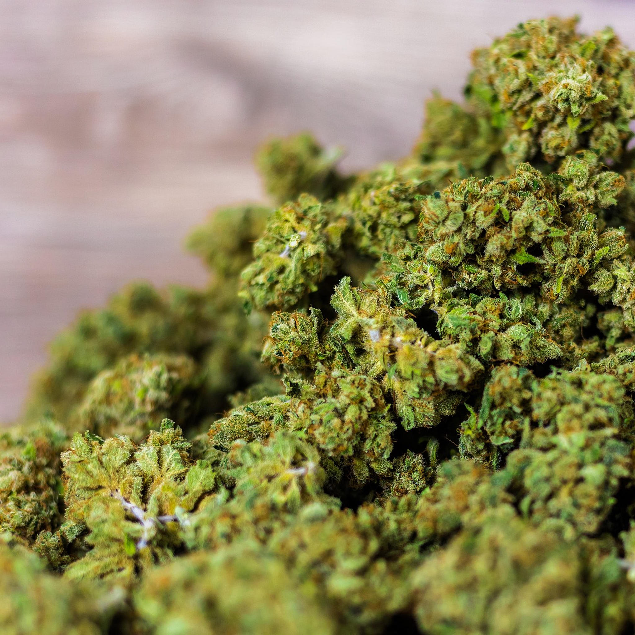 CBD puro o aislado de CBD, es cannabidiol en su forma más pura, sin otros cannabinoides, terpenos ni flavonoides.