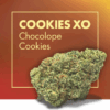 COOKIES XO Chocolope Cookies 2gr by Cannactiva - Imagen 2