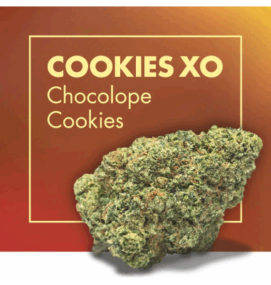 cookies-xo-chocolope-cookies-2gr-by-cannactiva (1)