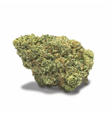 COOKIES XO Chocolope Cookies 2gr by Cannactiva