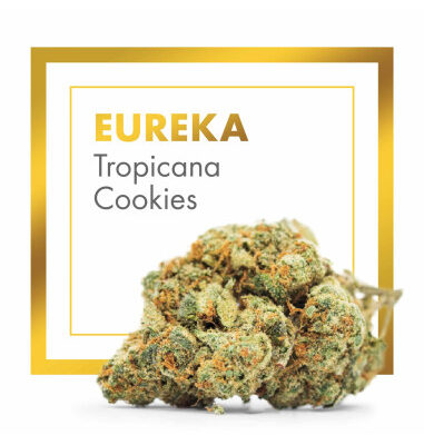 eureka-tropicana-cookies-2gr-by-cannactiva (1)