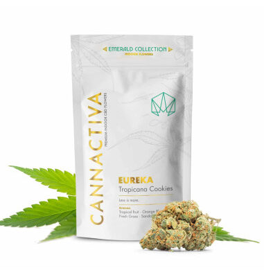 EUREKA Tropicana Cookies 2gr by Cannactiva