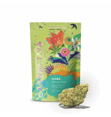 flora-mimosa-haze-2gr-by-cannactiva (1)