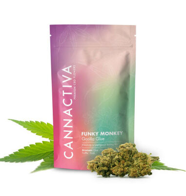 funky-monkey-gorilla-glue-indoor-2gr-by-cannactiva (1)