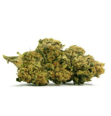 FUNKY MONKEY Gorilla Glue - INDOOR 2gr by Cannactiva