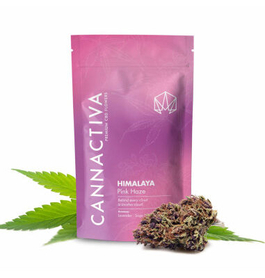 himalaya-pink-haze-2gr-by-cannactiva (1)