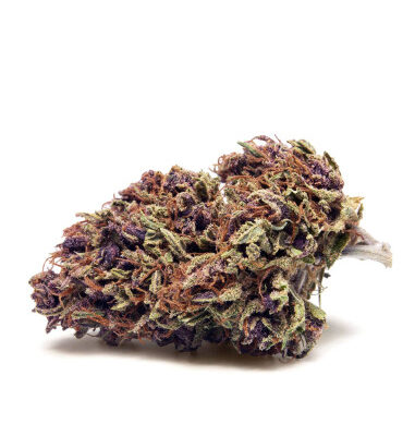 HIMALAYA Pink Haze 2gr by Cannactiva