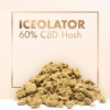 Iceolator 3gr – 60% CBD by Cannactiva - Imagen 2