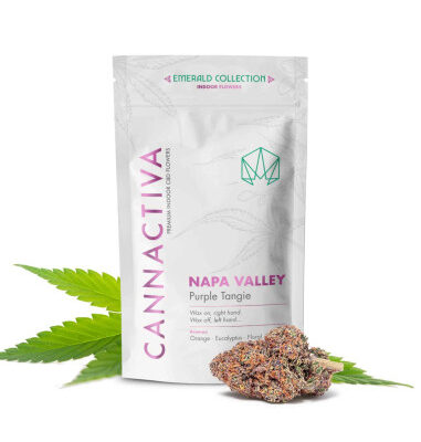 napa-valley-purple-tangie-2gr-by-cannactiva (1)