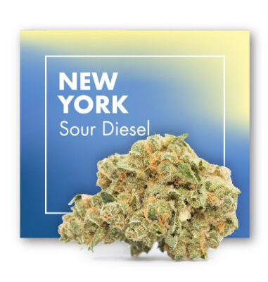 NEW YORK Sour Diesel – INDOOR 2gr by Cannactiva