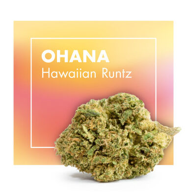 ohana-hawaiian-runtz-2gr-by-cannactiva (1)