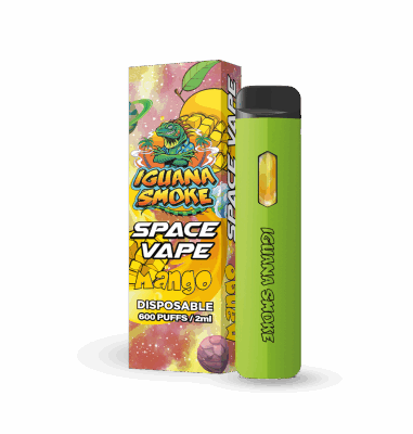Pod Desechable STV - Space Vape Mango