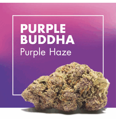 PURPLE BUDDHA 2gr by Cannactiva