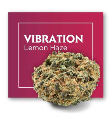 vibration-lemon-haze-2gr-by-cannactiva
