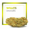 WILLITS Limoncello 2gr by Cannactiva