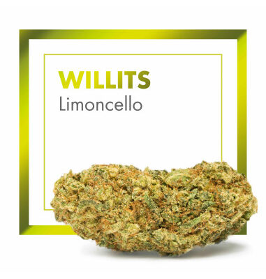 WILLITS Limoncello 2gr by Cannactiva