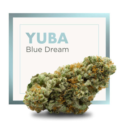 yuba-blue-dream-2gr-by-cannactiva (1)